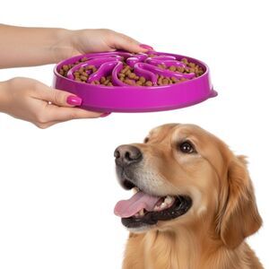 NWT Outward Hound Slo Bowl Purple LARGE Slow Feeder Anti Bloat Dog Bowl